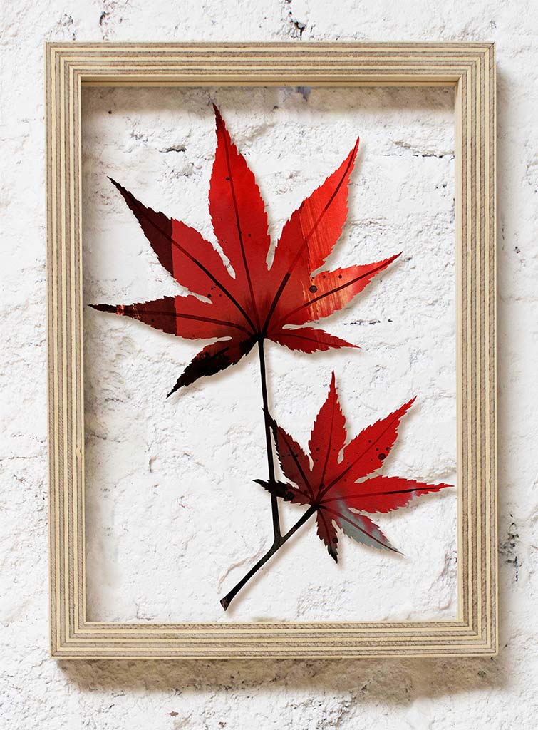 Japanese Maple - Limited Edition - A4