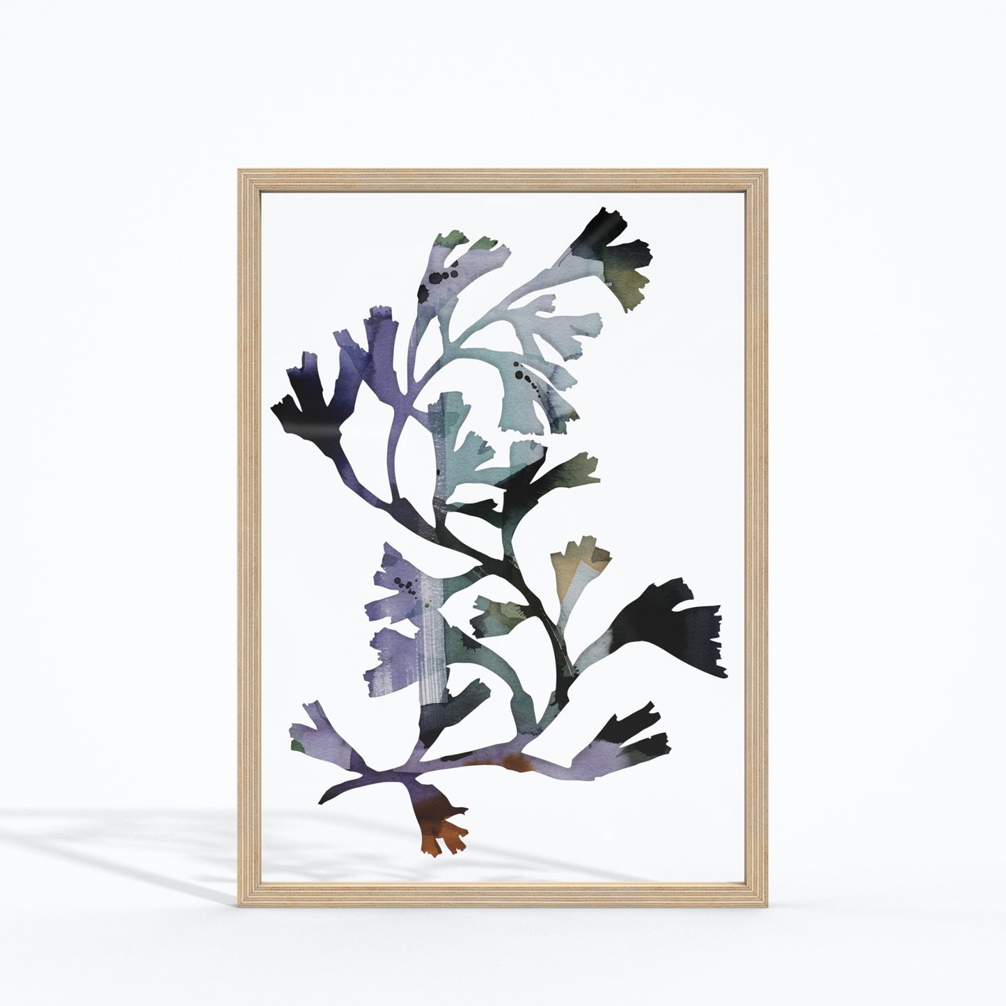 Seaweed Series - The Complete 8-Piece Set
